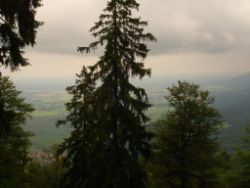 1913-07-05_Regina-F-Rau_Sonnenspitz_Kotalm-Jachenau (310).JPG